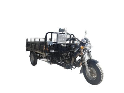 Трицикл грузовой Мотомир AGIAX 1 250 куб. см, ВОЗД.ОХЛ, кузов 2м чёрный с ПТС