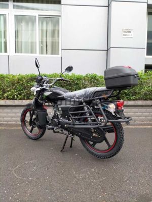 Мопед Мотомир RAID INTERNATIONAL (кофр, дуги с карманами) камуфляж