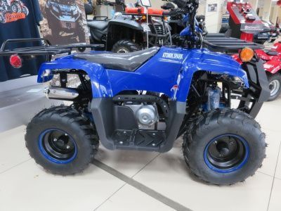 Квадроцикл детский Мотомир ATOMIK SPARK (машинокомплект)
