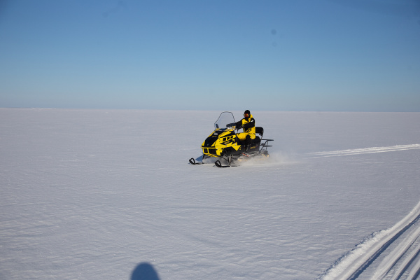 Снегоход Торос 600S 800PRO (машинокомплект) | Мототека Снегоход Торос 600S 800PRO (машинокомплект) | Мототека